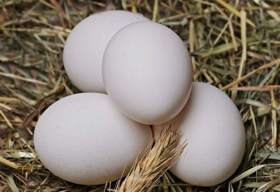 رژیم تخم مرغ شامل خوردن روزانه تخم مرغ است. 