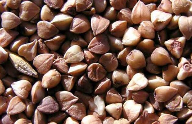 هسته گندم سیاه