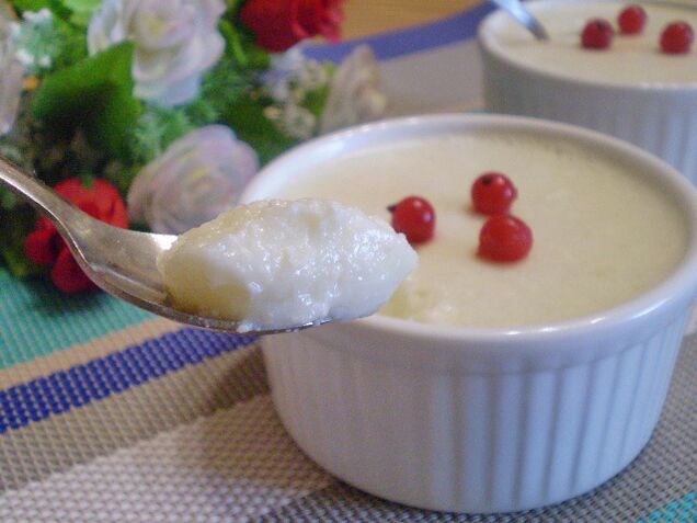 ژله پنیر در رژیم پروتئینی